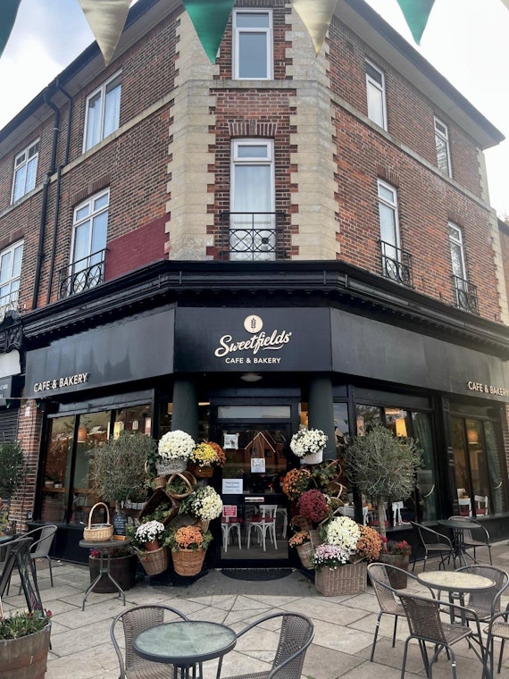 main highlight image