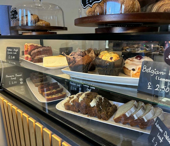 main highlight image