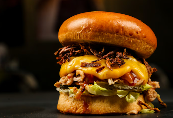 main highlight image